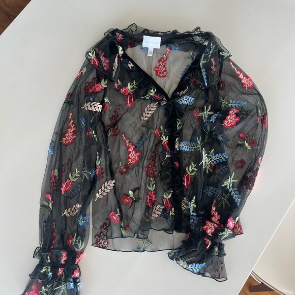 Alice McCall Time Stands Still Ruffled Embroidered Tulle Blouse in Black - Picture 5 of 13